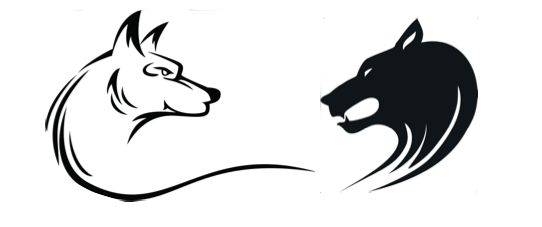 Battle of Two Wolves