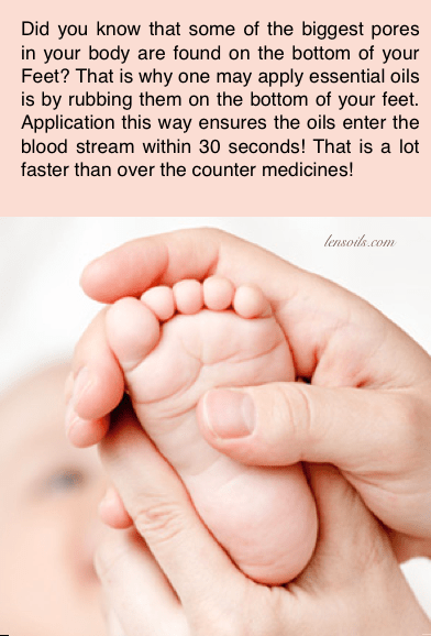 Biggest pores are in your feet