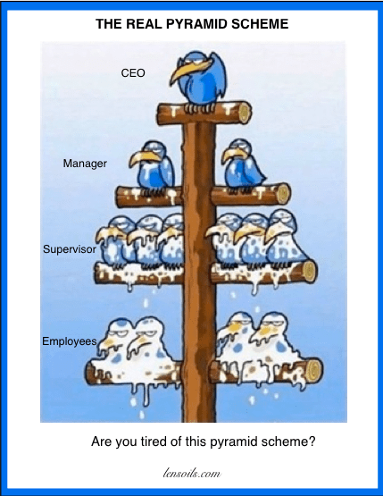 This image has an empty alt attribute; its file name is the-real-pyramid-scheme.png