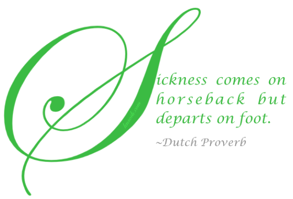 Dutch Proverb
