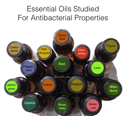 Studied for Antibacterial Properties