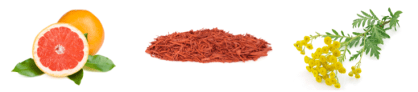 Screen shot 2015-08-06 at 8.33.12 PM