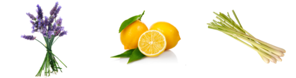 Screen shot 2015-08-06 at 8.41.11 PM