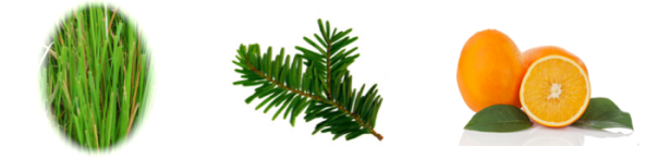 Screen shot 2015-08-06 at 9.10.03 PM