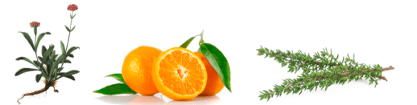 Screen shot 2015-08-07 at 6.10.34 PM