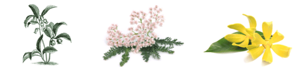 Screen shot 2015-08-07 at 6.21.49 PM