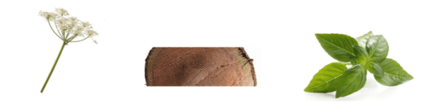 Screen shot 2015-08-07 at 6.26.48 PM