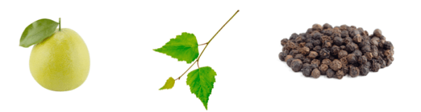 Screen shot 2015-08-07 at 6.28.31 PM