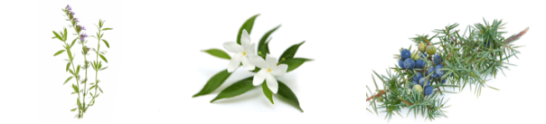 Screen shot 2015-08-07 at 8.04.53 AM