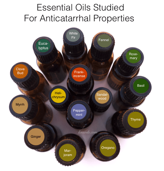 Studied for Anticatarrhal Properties