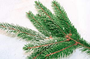 Screen shot 2015-10-28 at 7.58.40 PM