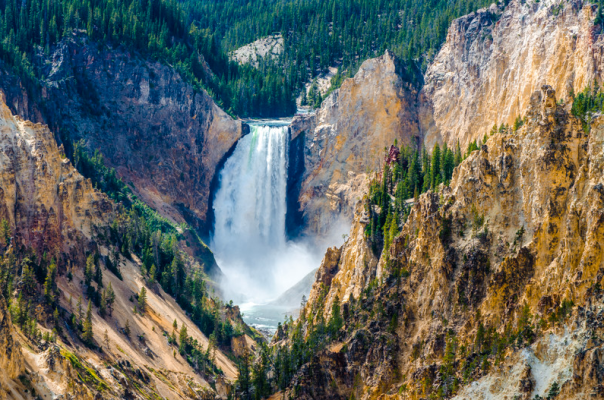 Grand Canyon of Yellowstone