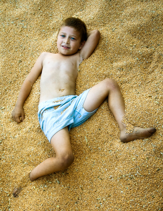 Boy playing in wheat
