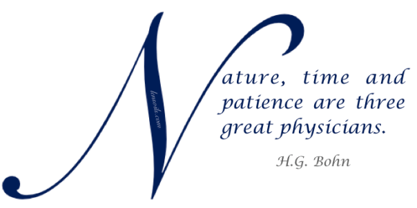 Health Proverb H.G. Bohn