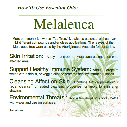 How to Use Melaleuca Essential Oil