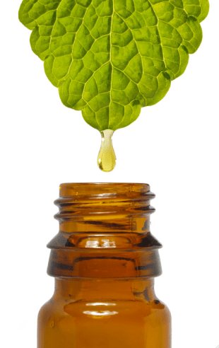 Leaf Oil Bottle