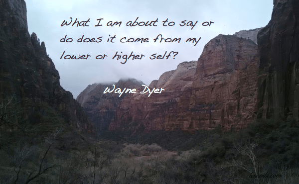 Wayne Dyer lower or higher self