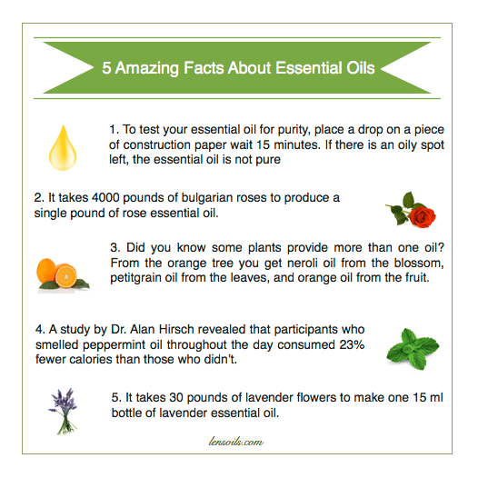 5 Amazing Fun Facts About Essential Oils