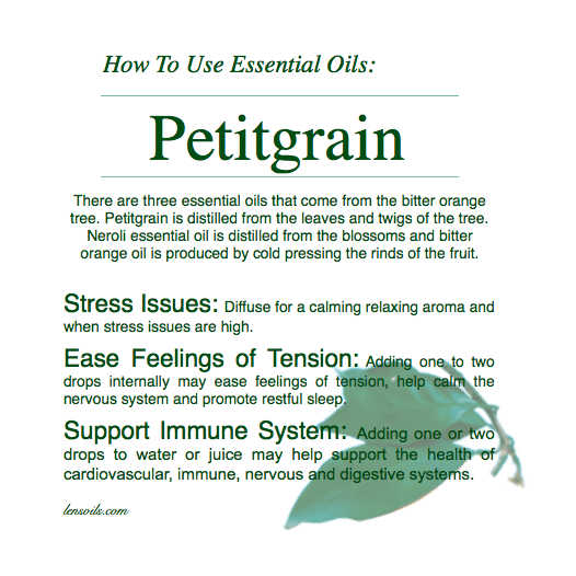 how-to-use-petitgrain-essential-oil