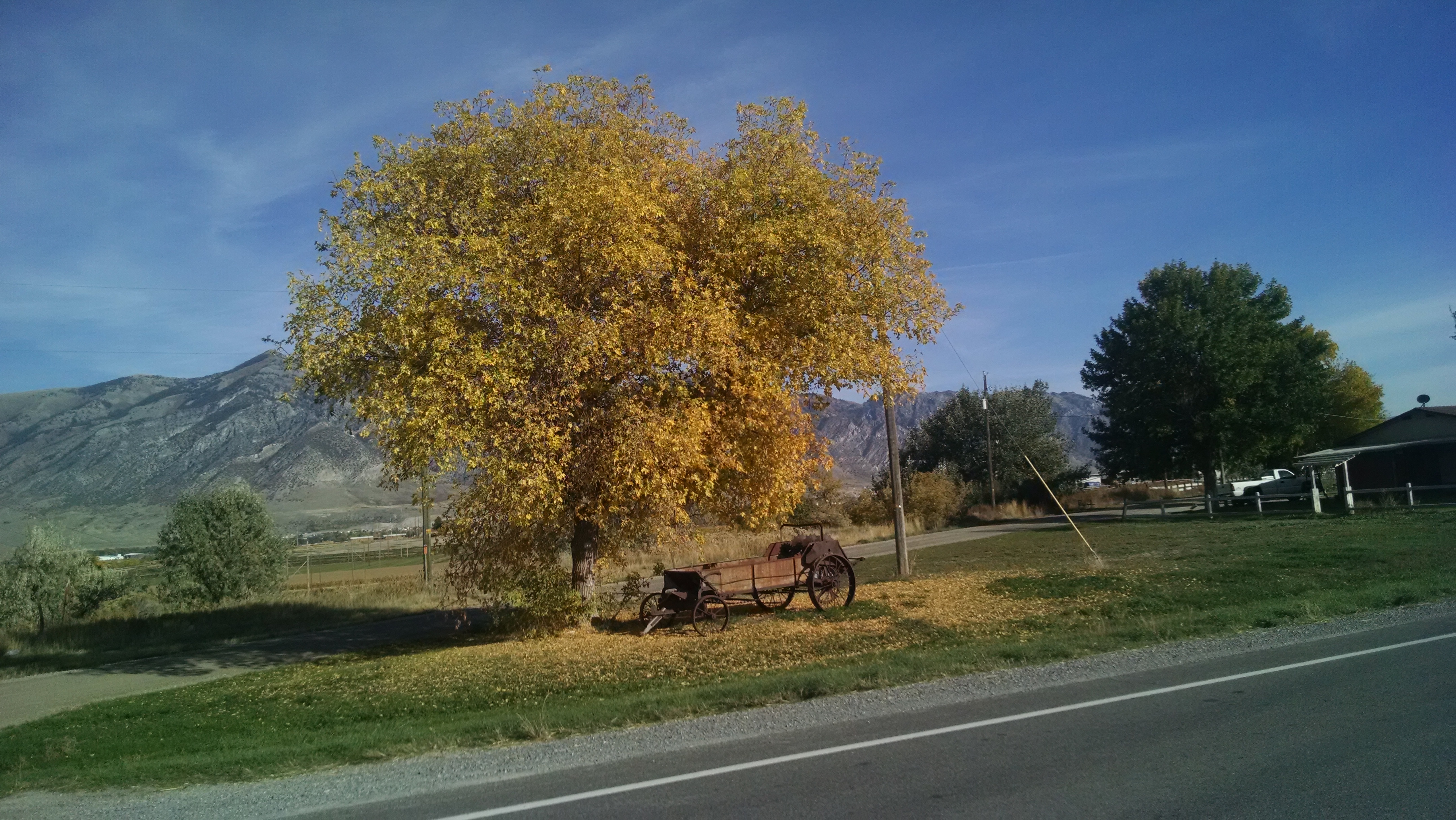 IMG_20151016_161510297