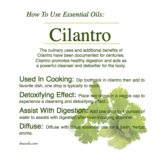How to Use Cilantro Essential Oil.png