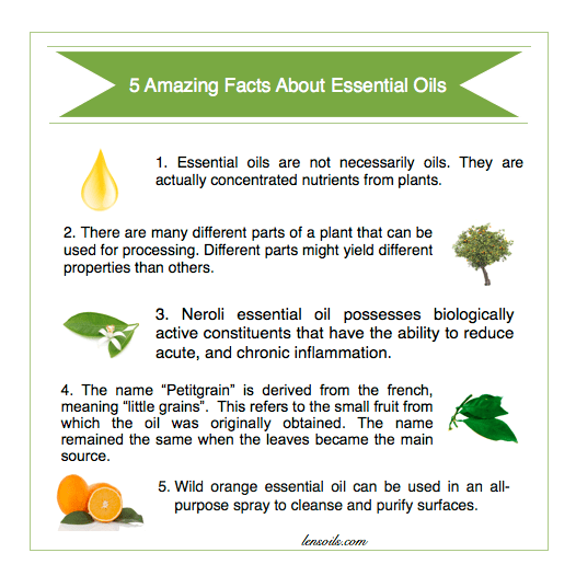 5 Amazing Facts About Essential Oils #4.png