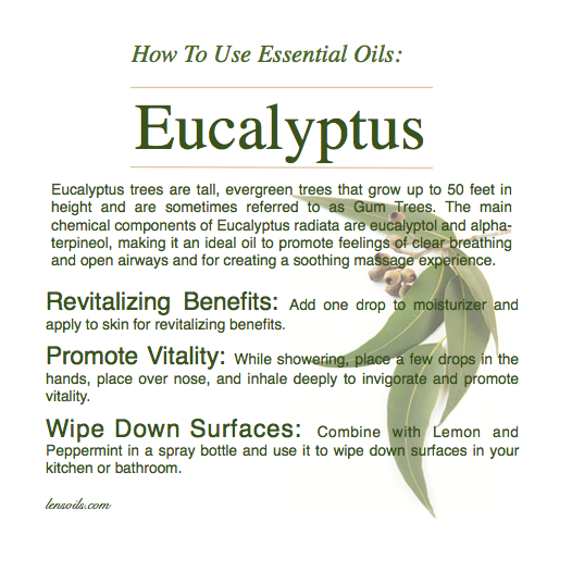 How to Use Eucalyptus Essential Oil.png