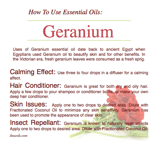 How to use geranium essential oil.png