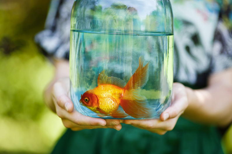 Girl with fish bowl