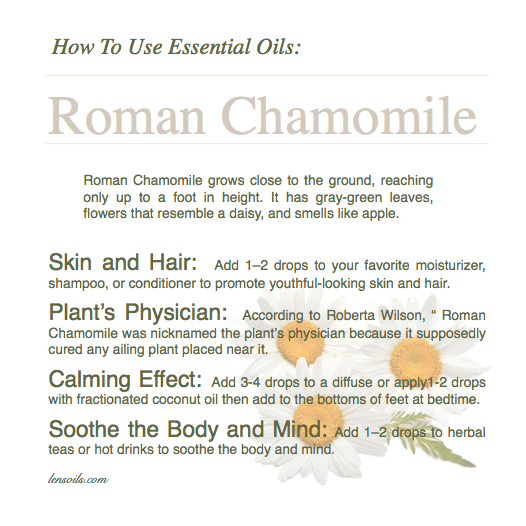 How to use Roman Chamomile essential oil.png
