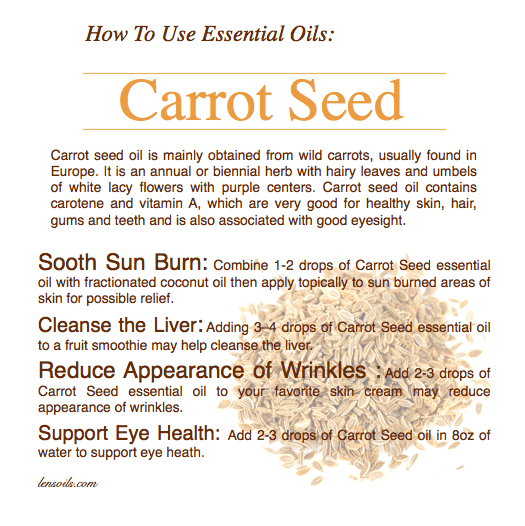 How to Use Carrot Seed Essential Oil