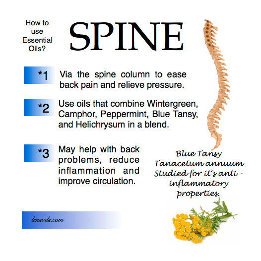 How to use essential oils spine.png