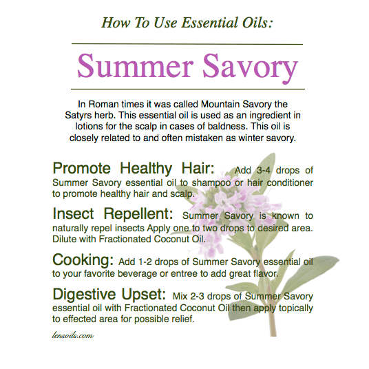 How to Use Summer Savory Essential Oil
