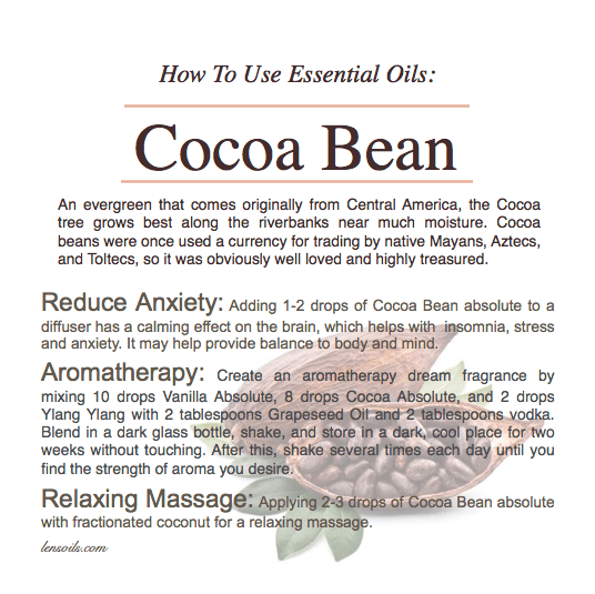 How to use cocoa bean essential oil