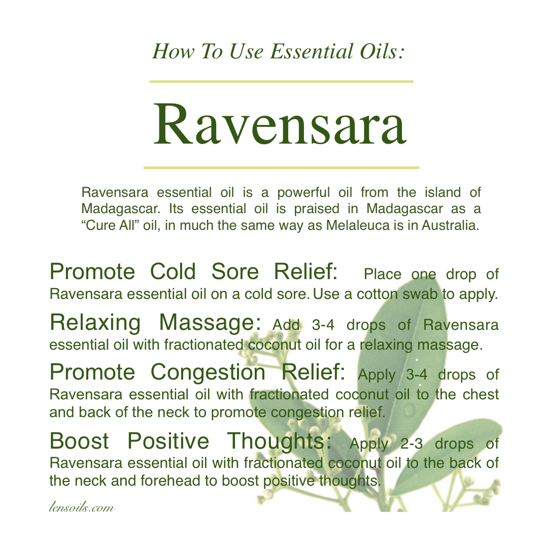 How to use Ravensara essential oil.png