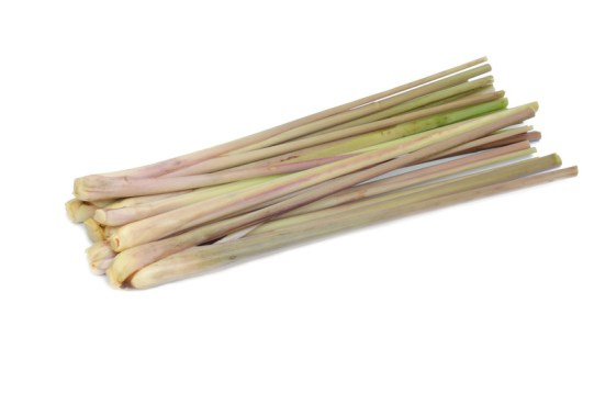 Citronella