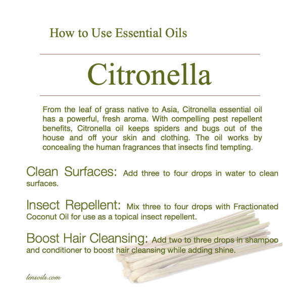 How to Use Citronella Essential Oil.png