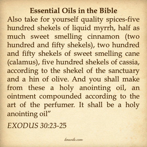 Oils in the Bible 1.png
