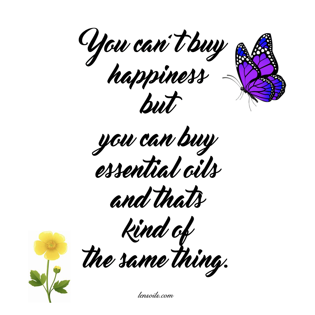 You can't buy happeness.png